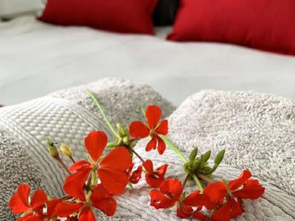 Stay Harties Accommodation Hartbeespoort Eksteriør billede